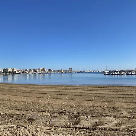 Pink Royal - Winter By The Sea *